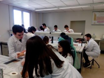 Visita de Estudo aos laboratórios de Biotecnologia da Universidade Católica do Porto e Teatro Interativo de Inglês, em Gaia.