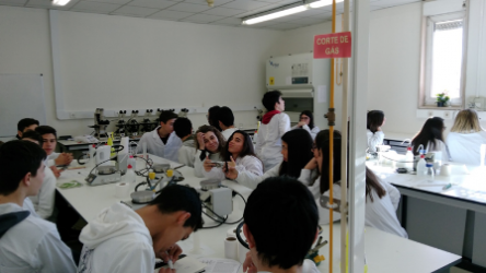 Visita de Estudo aos laboratórios de Biotecnologia da Universidade Católica do Porto e Teatro Interativo de Inglês, em Gaia.