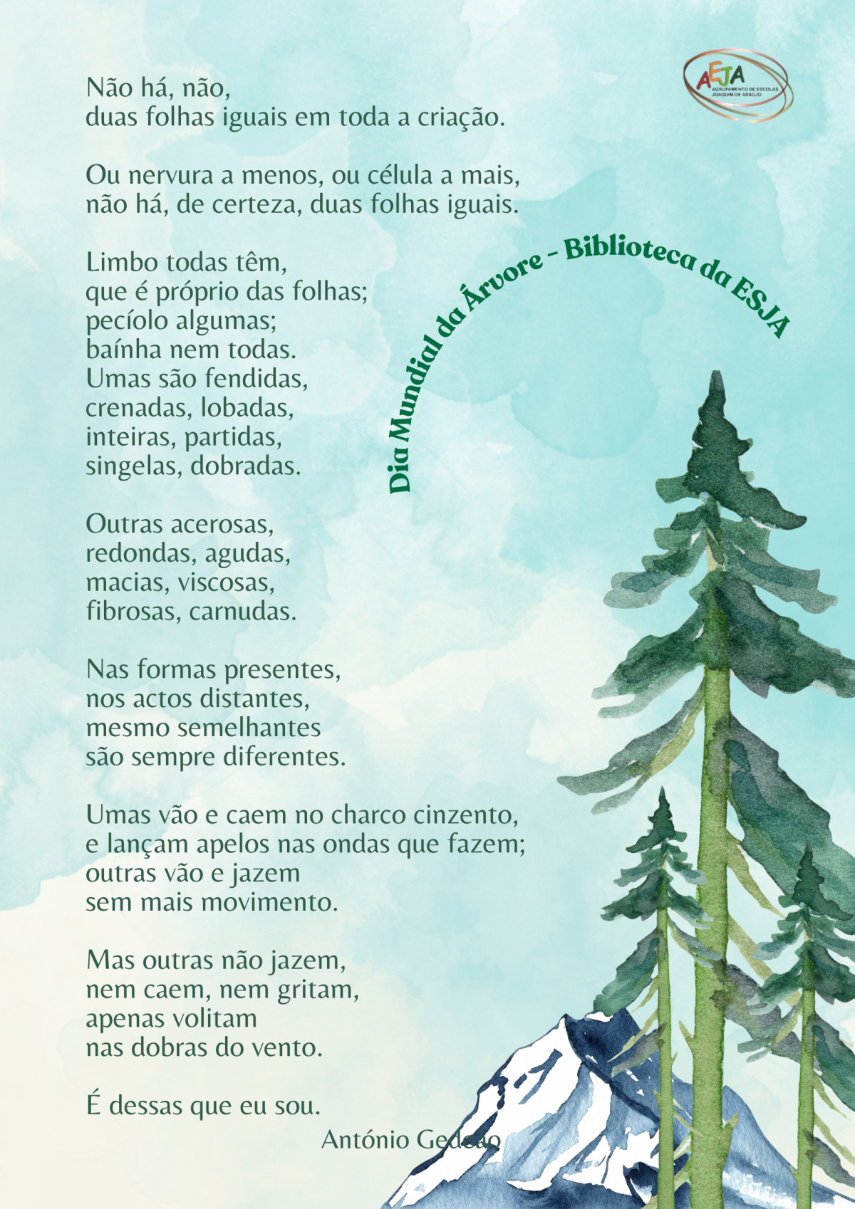 Dia Mundial da Árvore